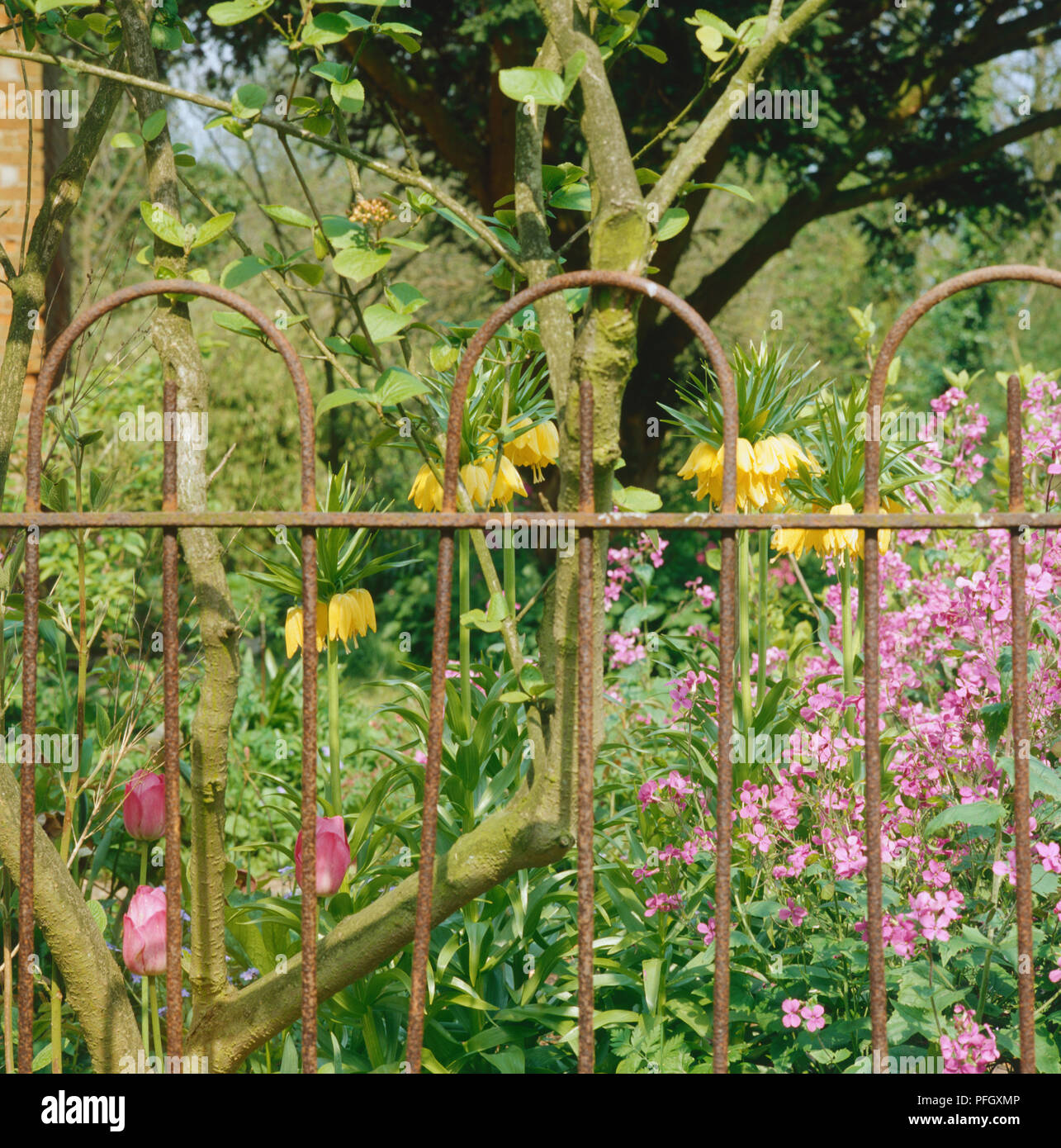 Railings flowerbed hi-res stock photography and images - Alamy