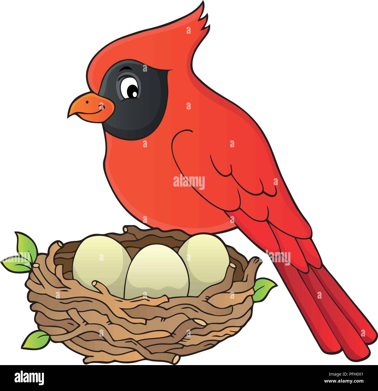 Cardinal Eggs Cut Out Stock Images Pictures Alamy
