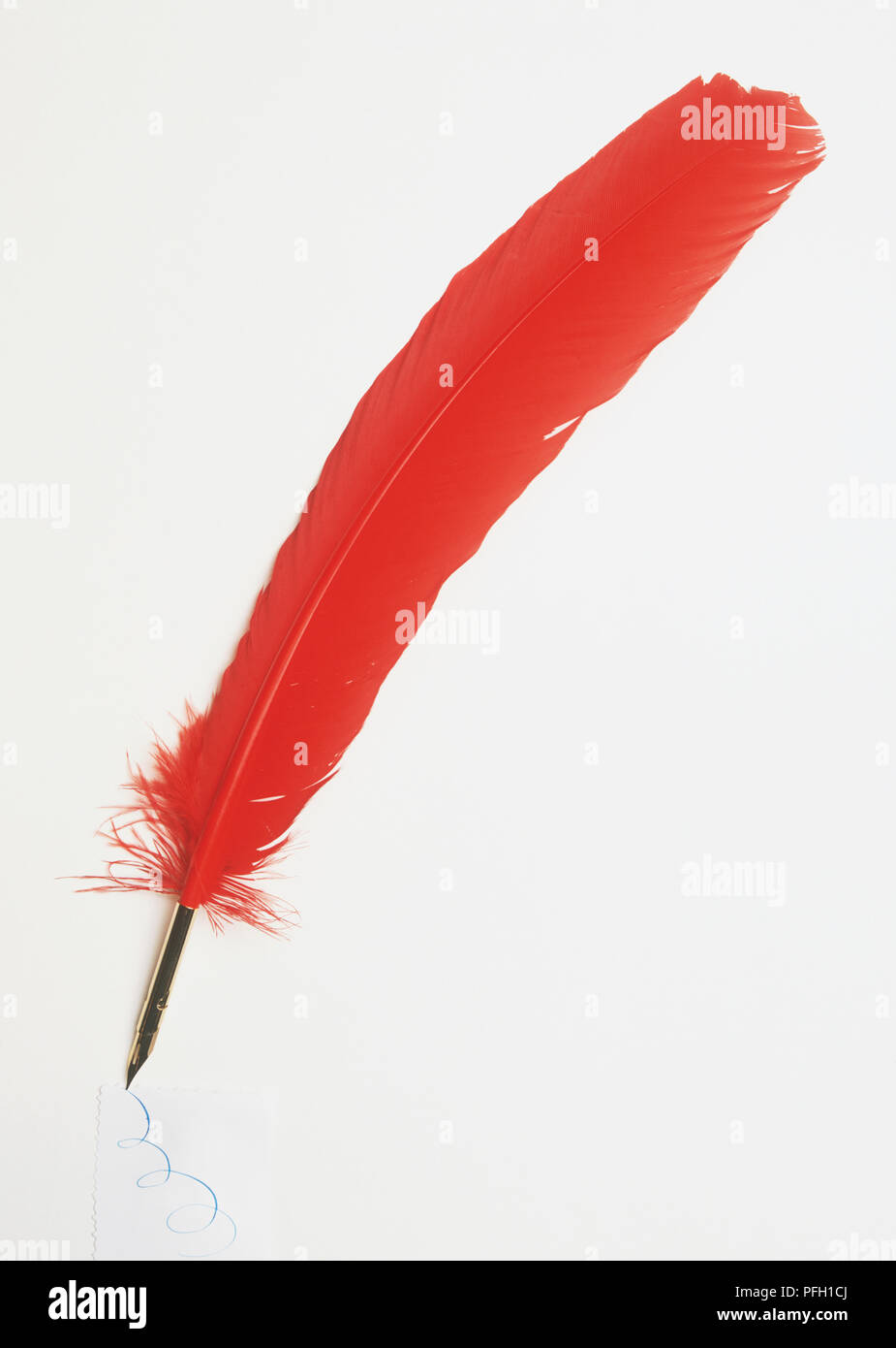 Red quill with metal fountain pen nib Stock Photo Alamy