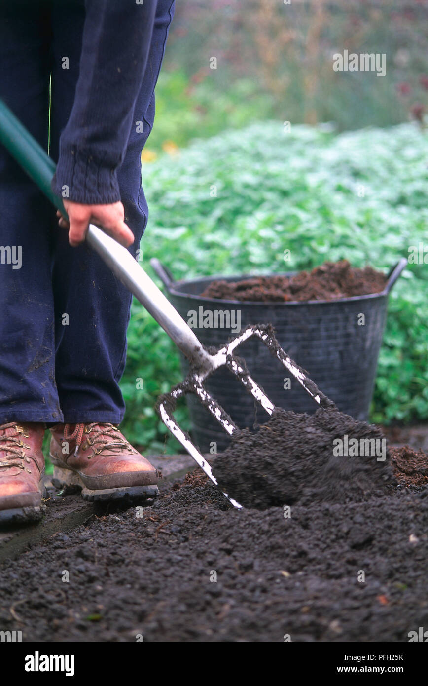 Garden fork being used to turn soil, front view. Stock Photo