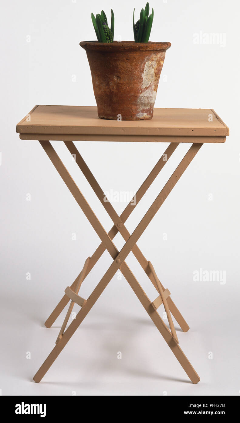 Wooden folding table, two green plants in terracotta pot placed on table. Stock Photo