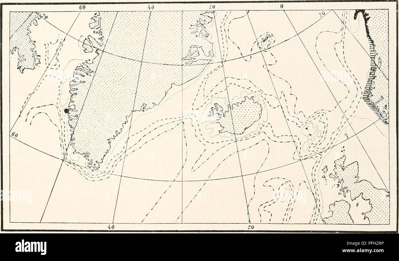 . The Danish Ingolf-Expedition. Scientific expeditions; Arctic Ocean. HYDROIDA 15 Coryne Loveni (M. Sars) Bonnevie. 1835 Syncoryna ramosa, Loven, Bidrag til Kannedomen af Slagterna Campanularia och Syncoryna, p. 275, pi. 8, figs. 7—10. 1846 Loveni, M. Sars, Fauna littoralis Norvegiae, p. 2, footnote. 1899 Coryne Loveni, Bonnevie, Norske Nordhavs-Expedition, p. 14. &quot;The colonies are rather coarsely constructed and attain a height of up to 30 mm. The hydro- caulus is wholly irregularly ramified and shows no distinct main stem. The branches proceed almost rectangularly from the stem or the m Stock Photo