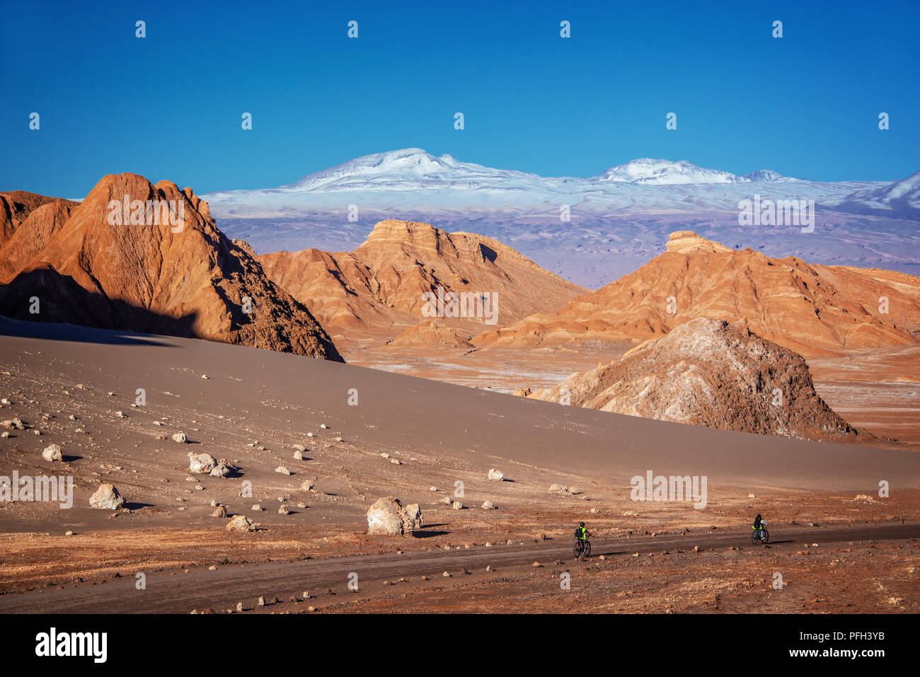 Travelers with bicycles on a track in Moon Valley, Atacama desert, snowy Andes mountain range in the background Stock Photo