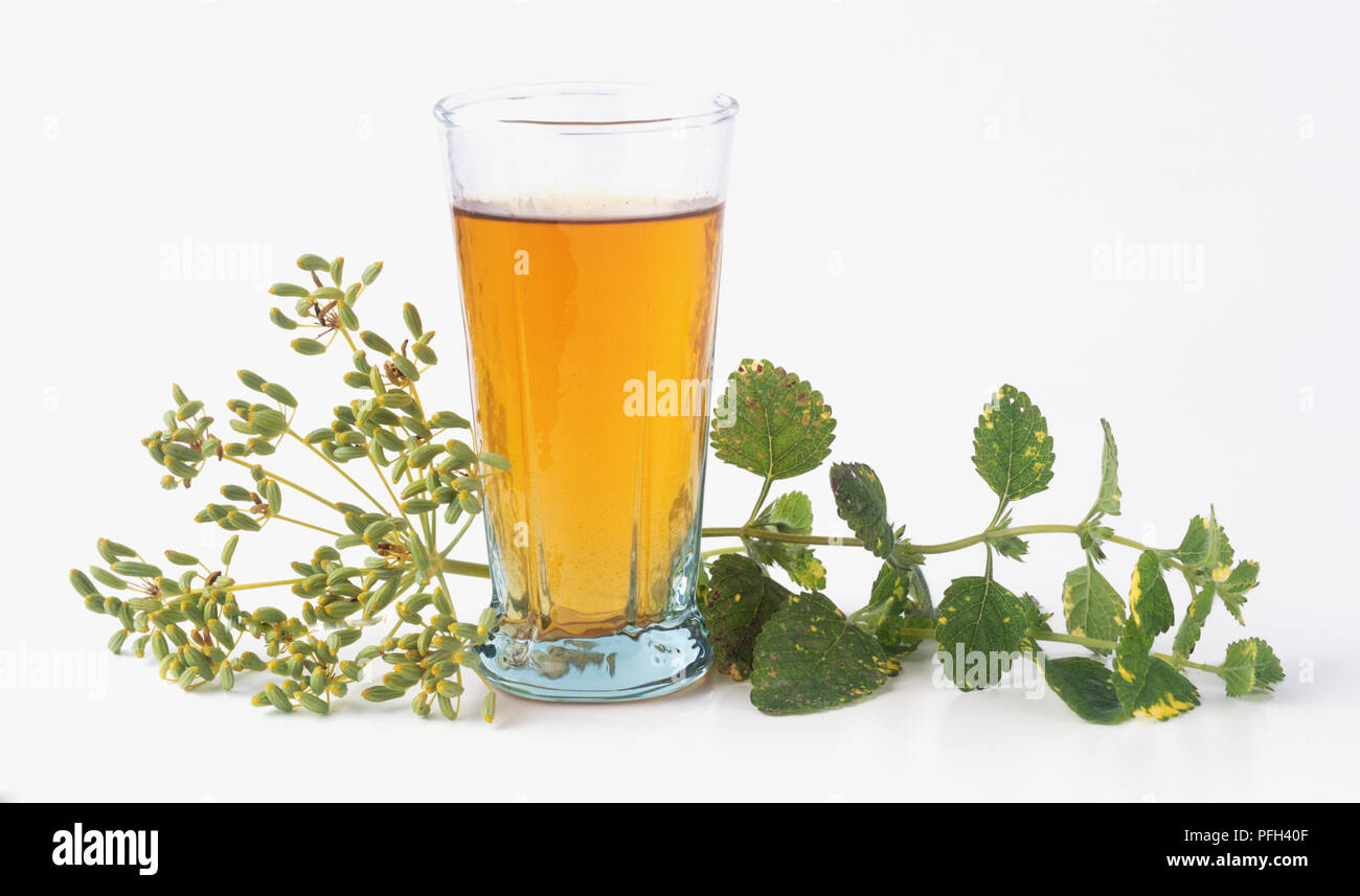 Herbal tincture made from fennel and lemon balm Stock Photo Alamy