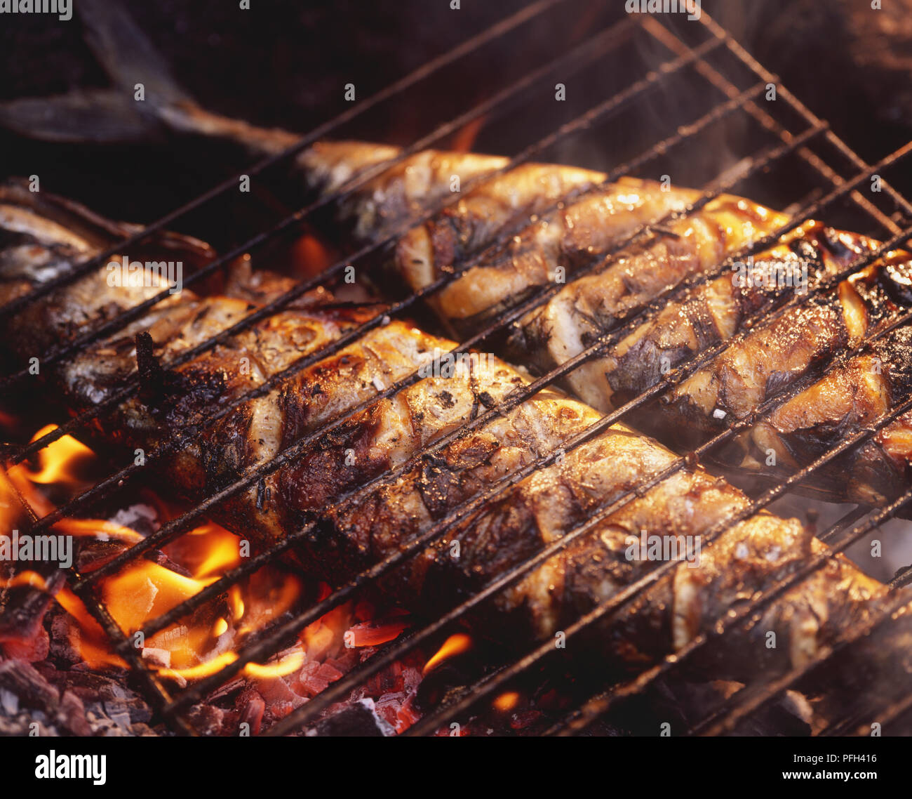 Two whole fish being grilled on a charcoal fire, with a wire rack on