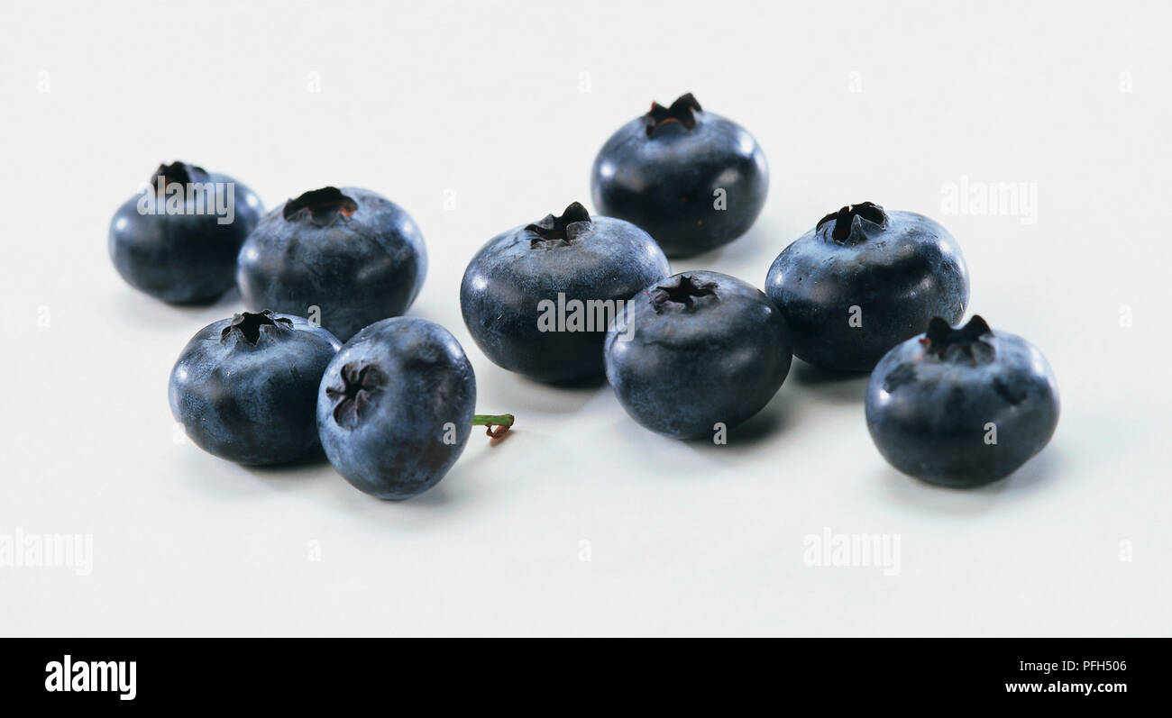 Vaccinium sp., Blueberries Stock Photo