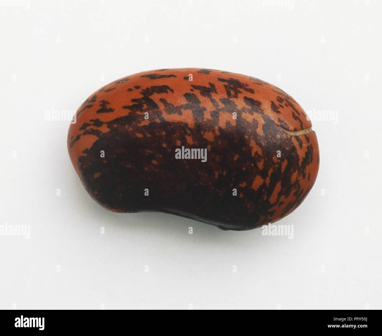 Runner bean pattern hi-res stock photography and images - Alamy