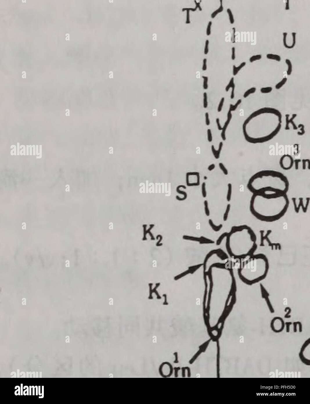 Dan Bai Zhi Jie Gou Fen Xi Zhi Bei Jian Ding Yu Wei Liang Ce Xu Botany A 10 2aaee Eºea Ea Ac Dabthae Aºe E Cc C Ac A Ae E I Dabthae Aºe E C C C I Ai A Ae E I Ci C ºaºa Ae E I Cm A C Aºae Ae E I Di A C A Ae E I Ei E Ae E I Fi E A Ae E