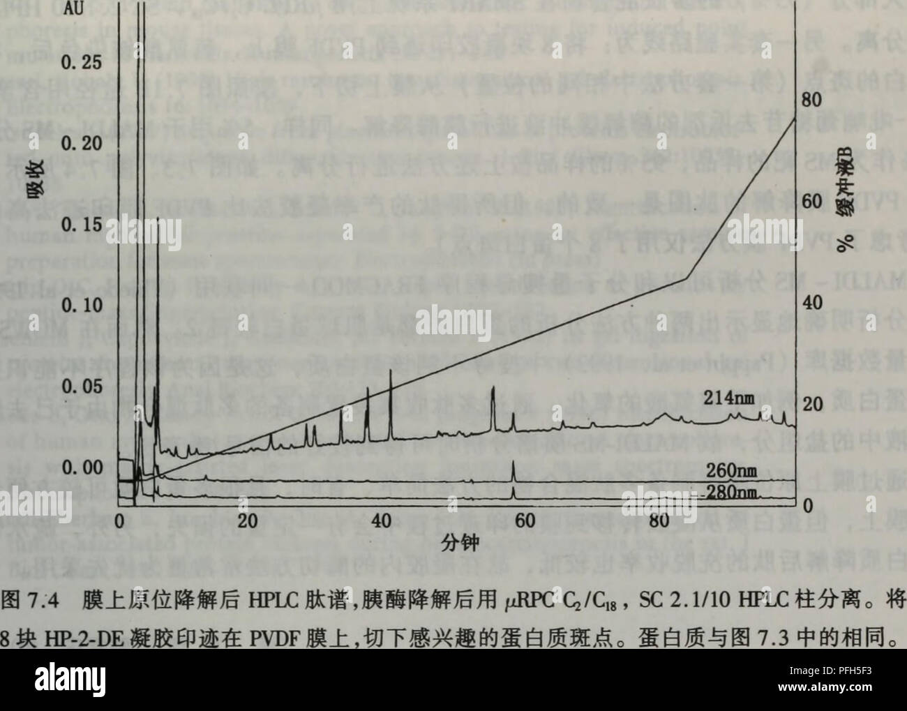 Dan Bai Zhi Jie Gou Fen Xi Zhi Bei Jian Ding Yu Wei Liang Ce Xu Botany Ae A C Cec E I A E 10aae C E E Ee º Cca E Aea 7 1aea A C C A E Ae Ee C Aeµc Ae Caa5 E E Maldi Msaaei 0 8 Cae A ºmse Ae E C Aee A 7 5a Rixe Eibi G Tdent I 1 Sici3 3