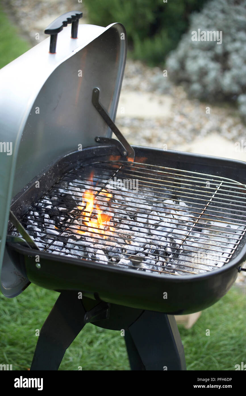 Barbecue grill, lid open Stock Photo: 216122530 - Alamy