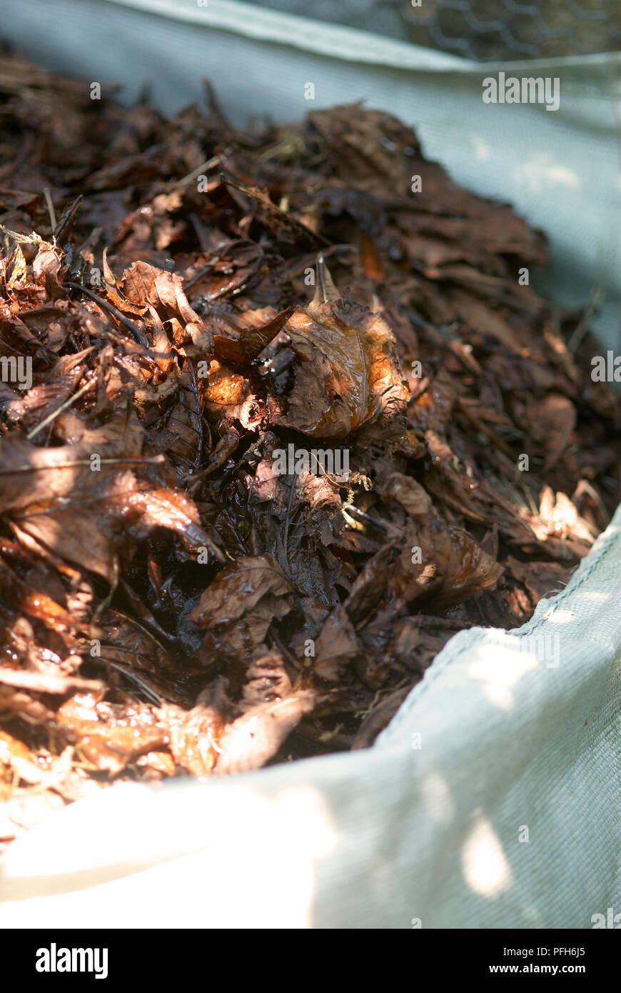 Compost heap in bag Stock Photo Alamy