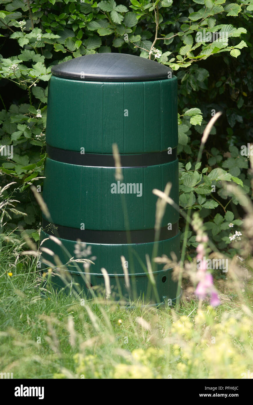 Green plastic compost bin, with lid Stock Photo Alamy