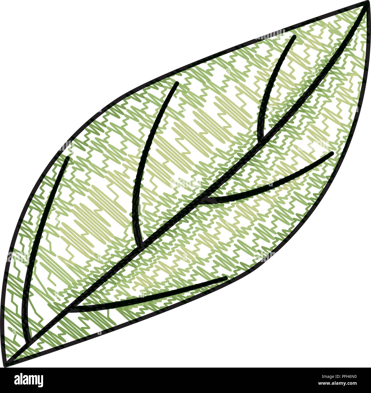leaf plant ecology icon Stock Vector Image & Art - Alamy