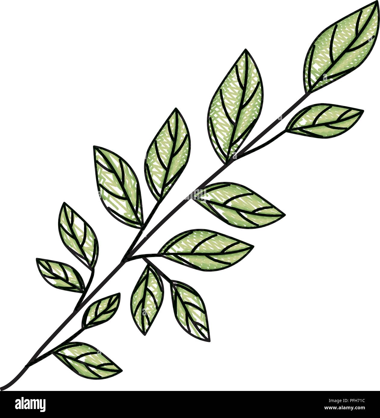 branch with leafs ecology icon Stock Vector Image & Art - Alamy