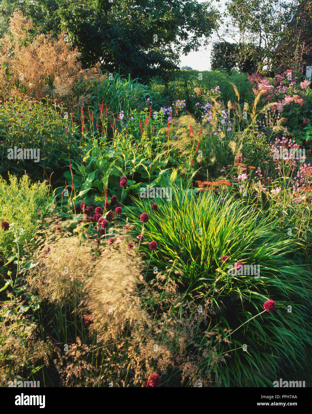 Border colour hires stock photography and images Alamy