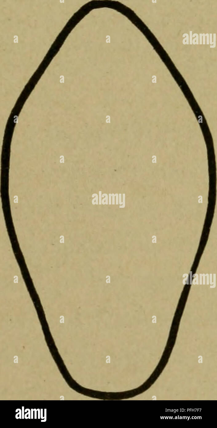 . Dairy farming. Dairying; Cattle. Dairy cow at middle of barrel Dairy