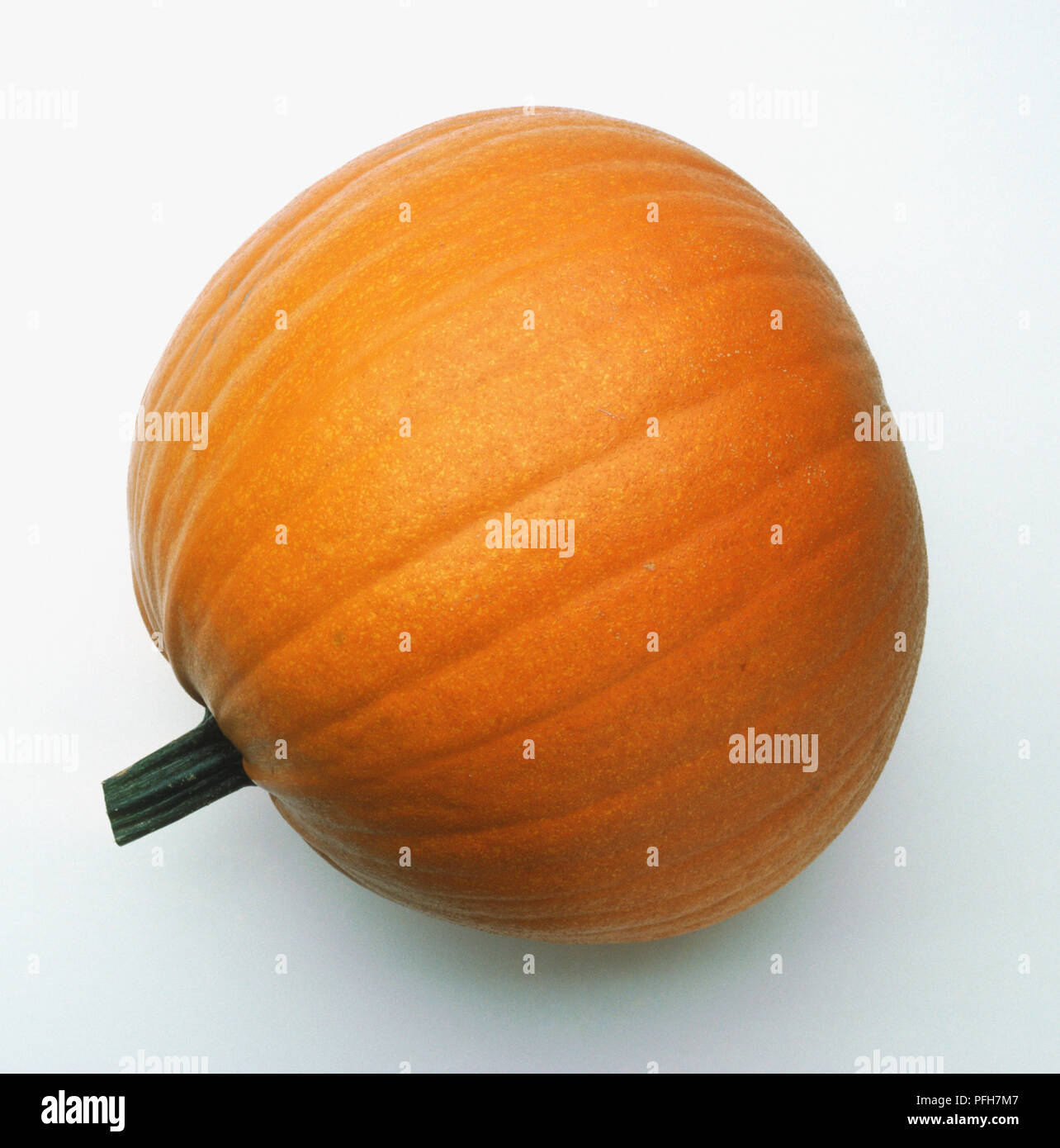 Cucurbita pepo, Pumpkin 'Spirit' Stock Photo