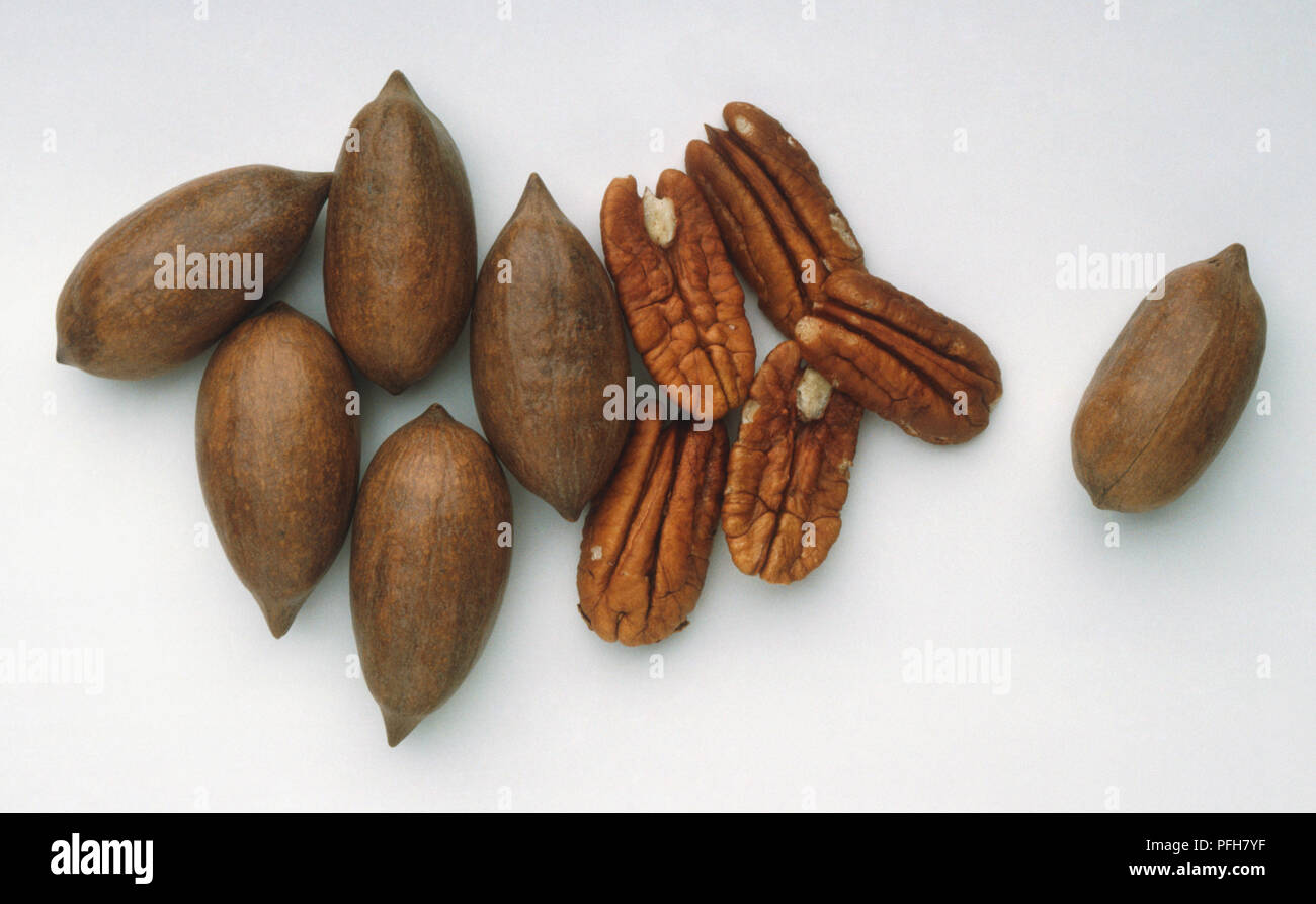 Pecan nuts, with and without shells Stock Photo Alamy