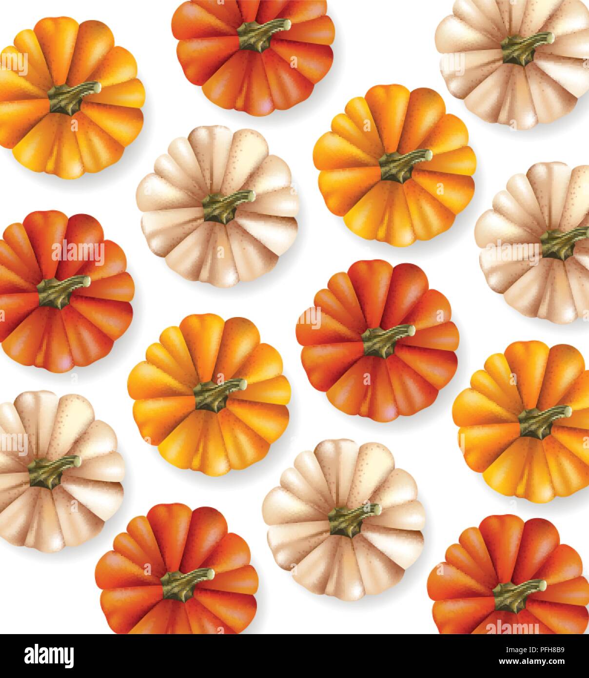 Autumn pumpkins collection border Stock Vector Images - Alamy