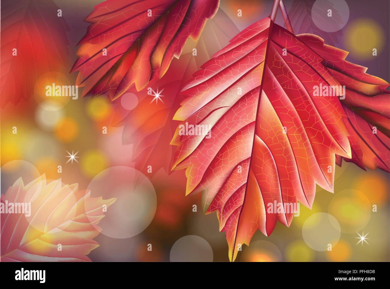 Red autumn leaves card Stock Vector Image & Art - Alamy