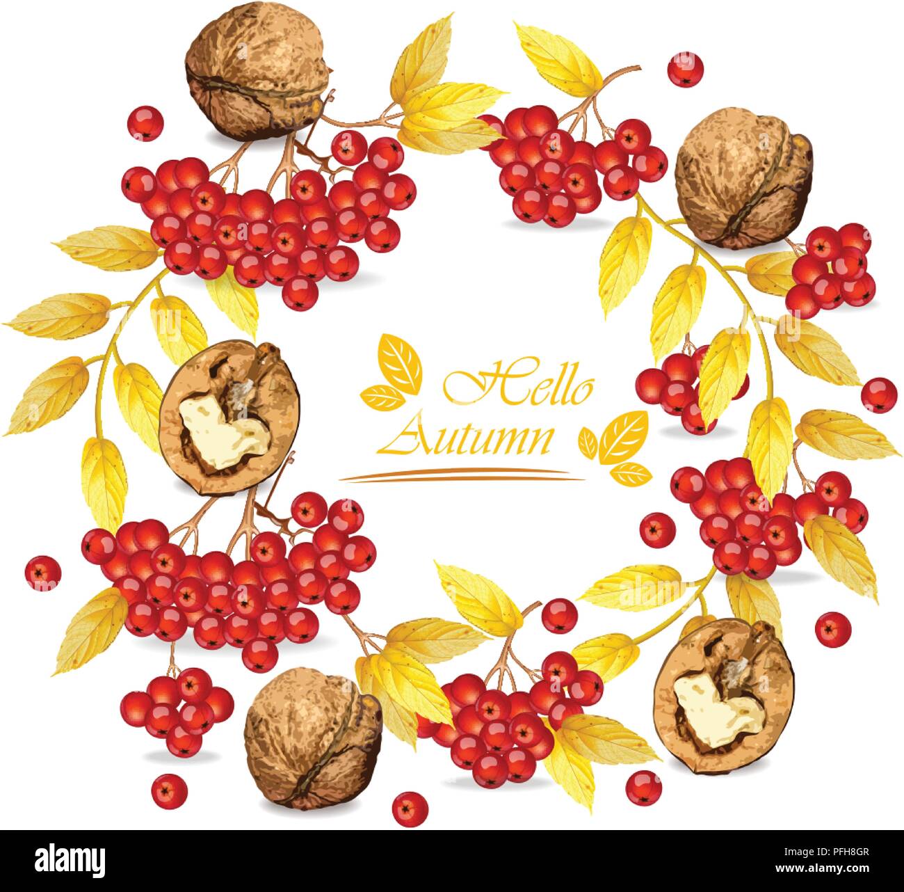 Rowan berries and walnuts wreath Stock Vector