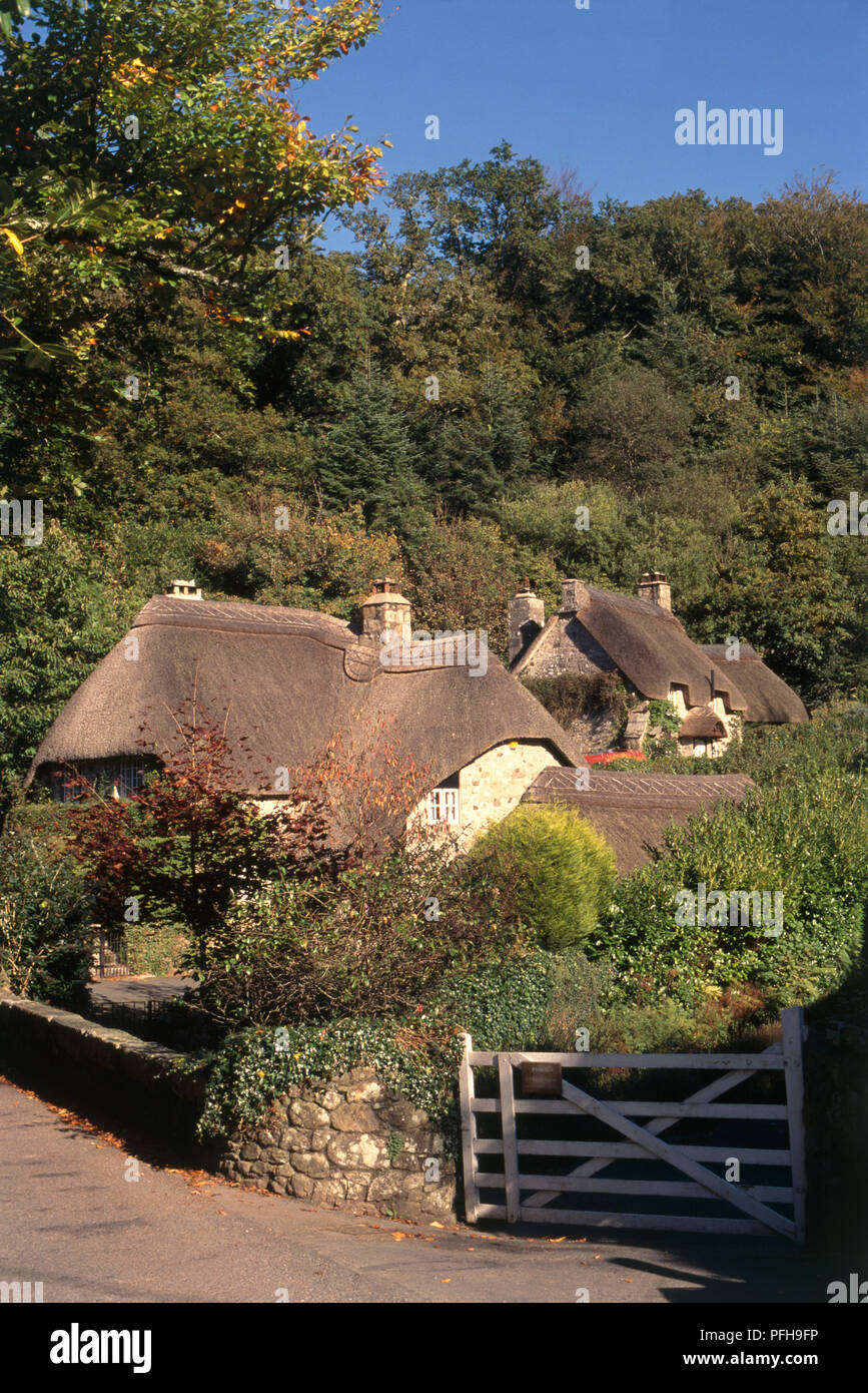 Great Britain, England, Devon, Dartmoor National Park, Bucklandinthe