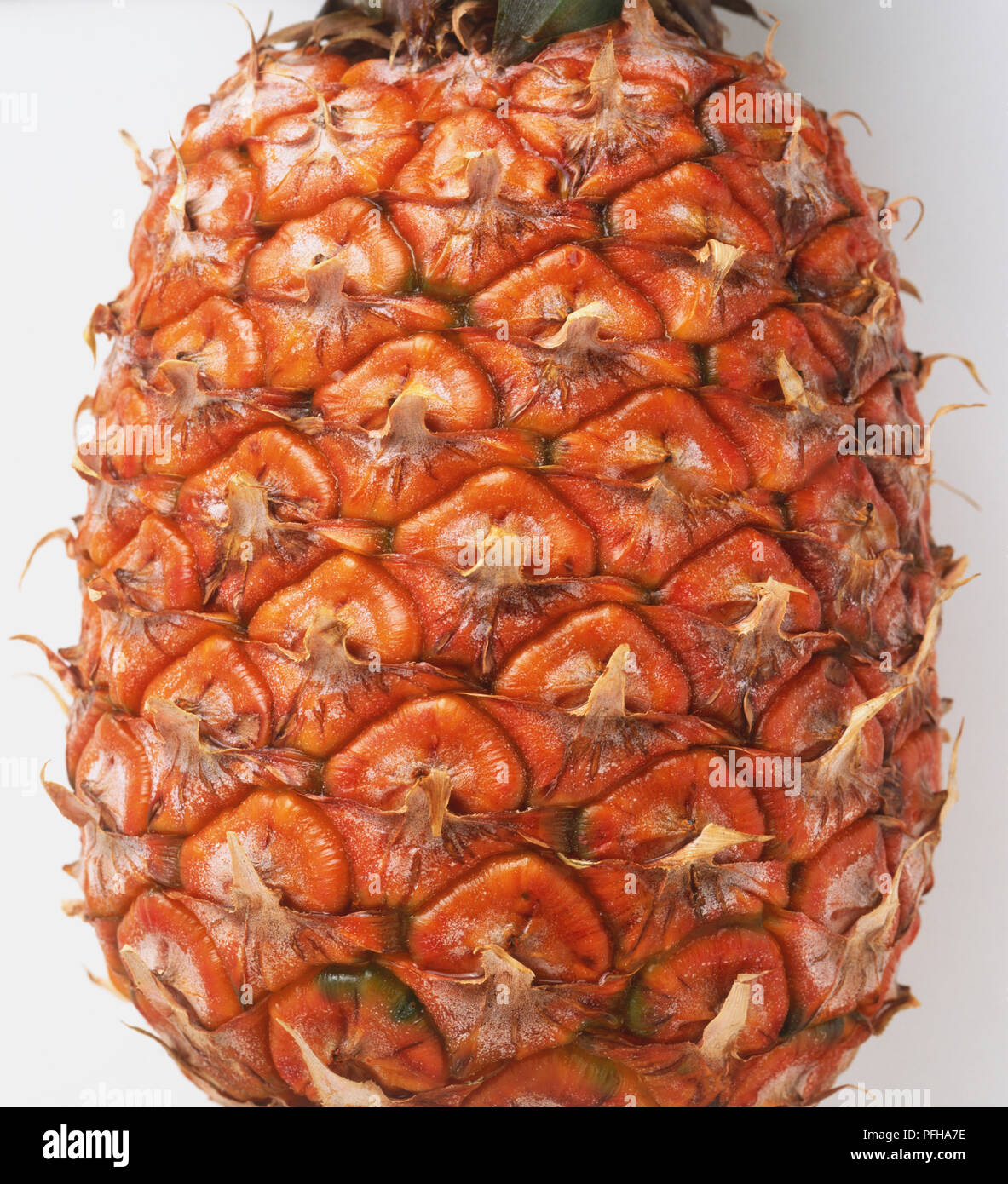Ananas comosus, Pineapple, close up Stock Photo Alamy