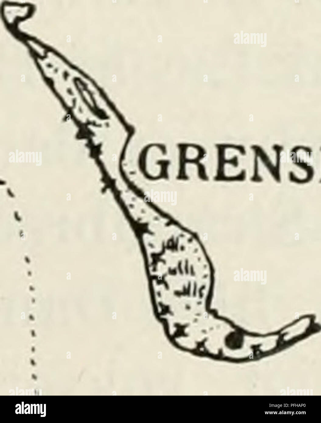 Dansk ornithologisk forenings tidsskrift. Birds -- Periodicals; Birds --  Denmark Periodicals. BREDHOLM 2 F&lt;mJ 2 Fod GRENSHOLM. Kort over  Grensholm, Bredholm, Boddiken og Græsholm. Par Stenvendere opholdt sig her  og havde