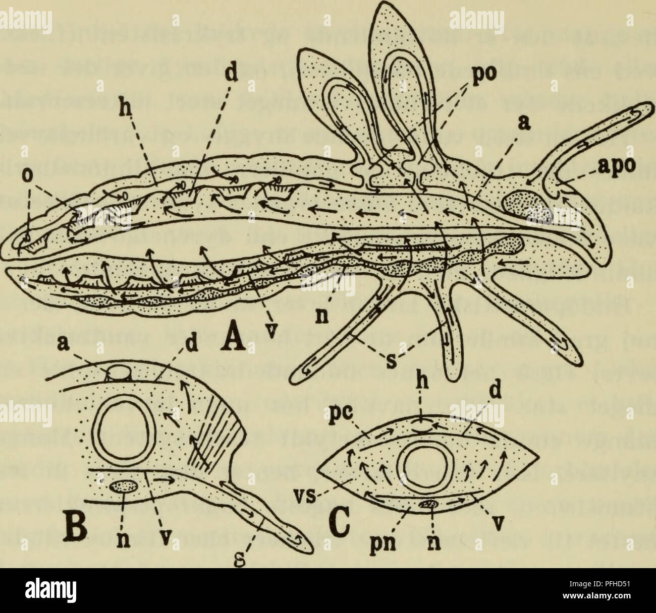Museumet insisterer på at Shivling er en penis : r/hinduism, image size:1300x1216