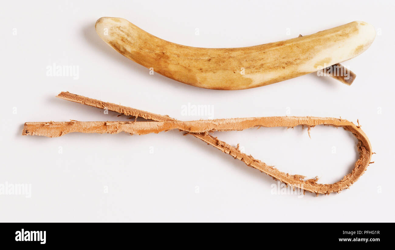 A thong made from animal hide and a knife used to cut animal hide Stock ...