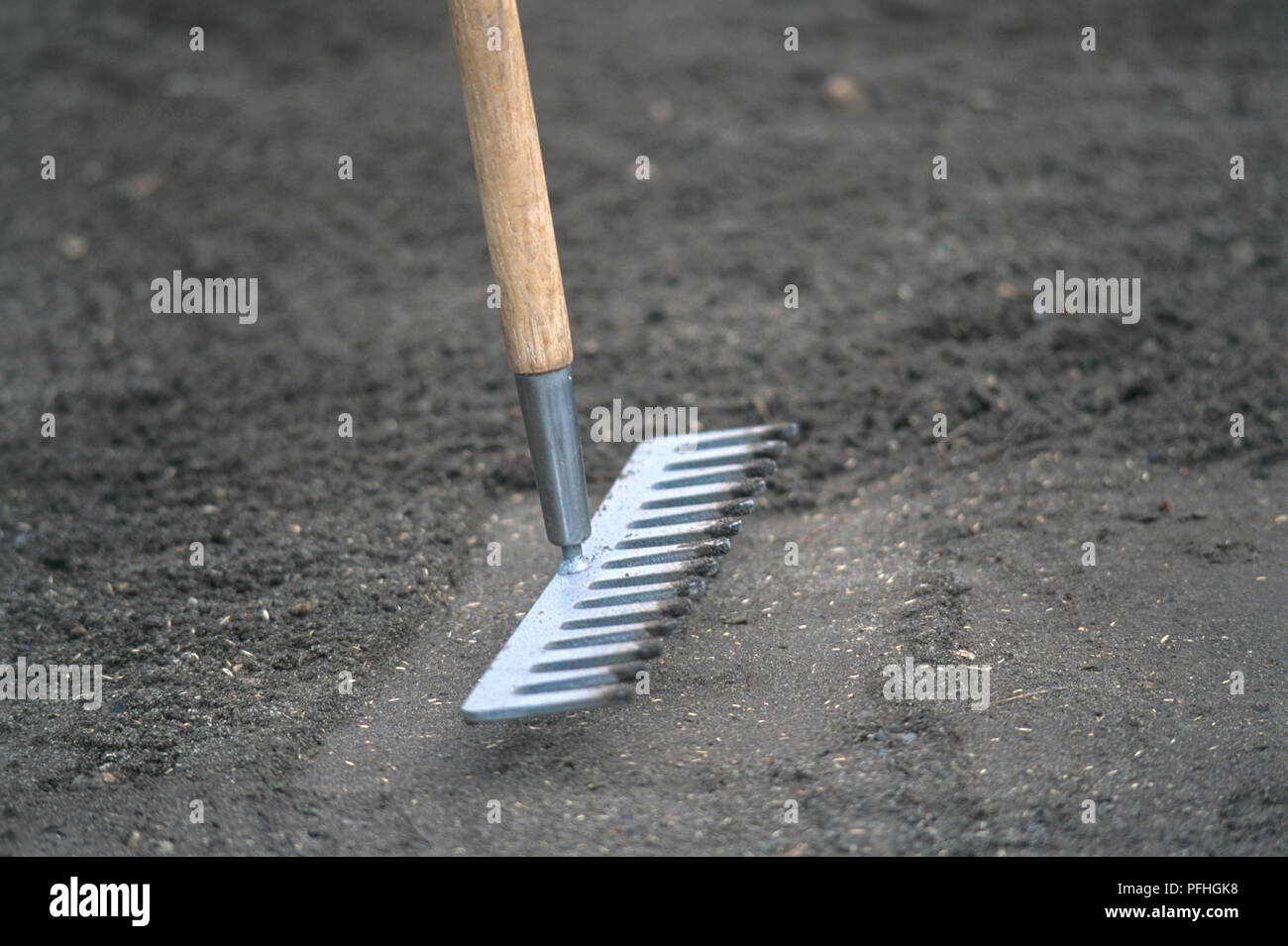 Tamping down soil with a rake, closeup Stock Photo Alamy