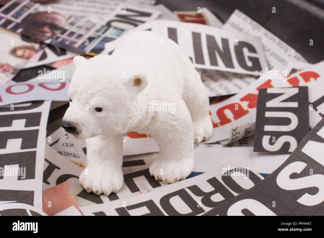 Polar bear on cut newspaper titles Stock Photo