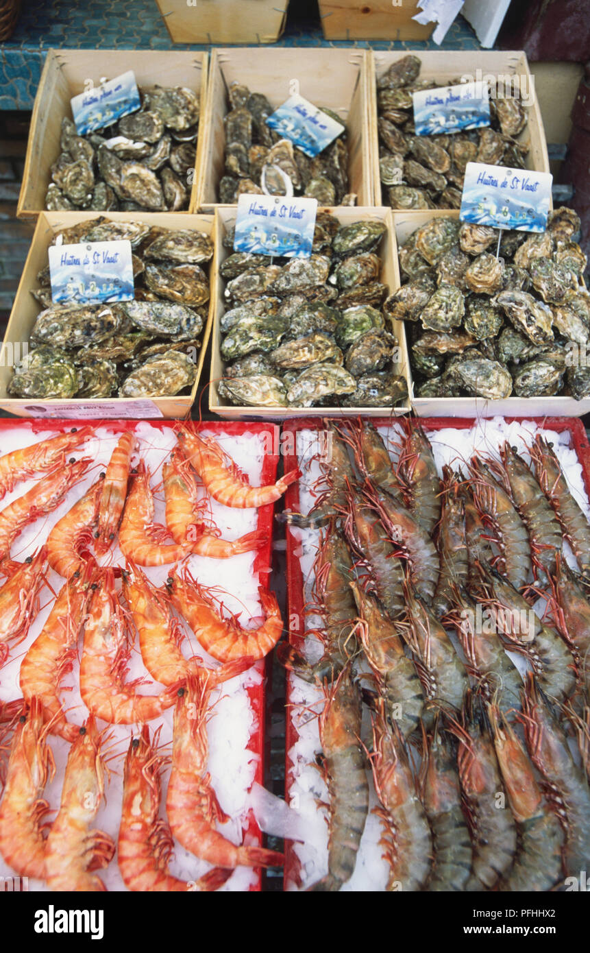 France, oysters and giant prawns displayed on market stall. Stock Photo