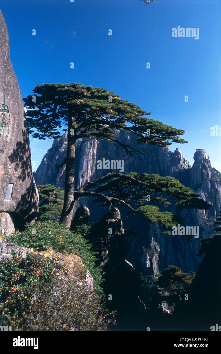 China, Anhui, Huang Shan or Yellow Mountain, Huan Ke Song or Welcoming ...