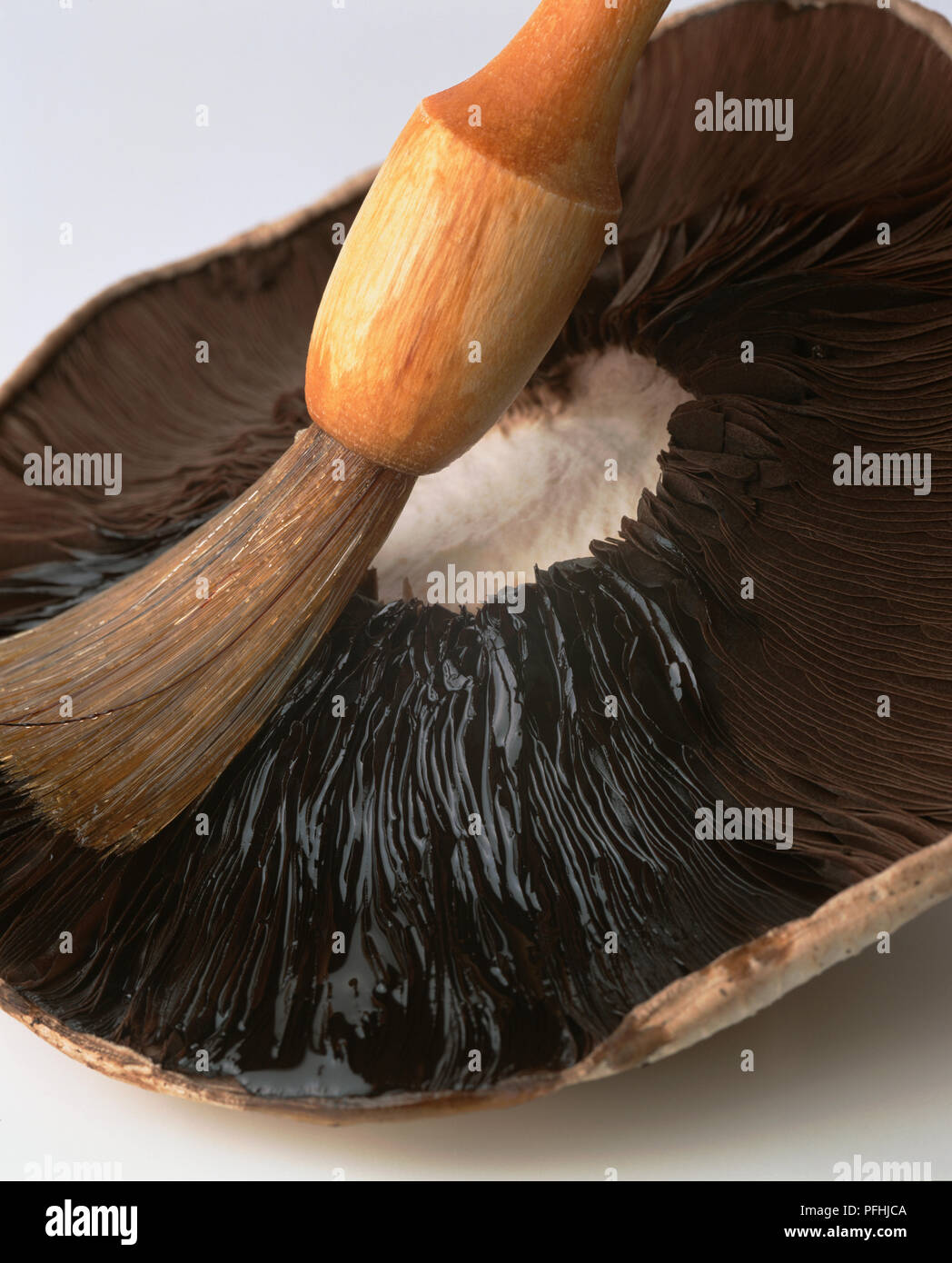 Brushing liquid on to a mushroom Stock Photo Alamy