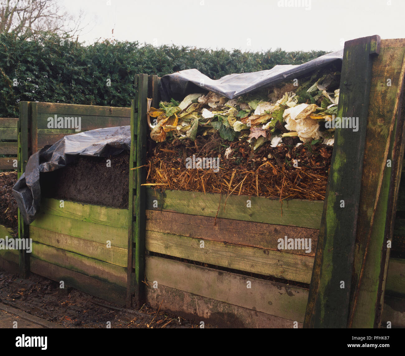 Large wooden compost bin in garden, side view. Stock Photo