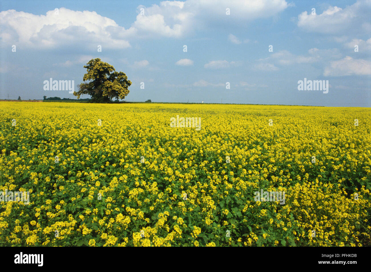 Vouvray france hires stock photography and images Alamy