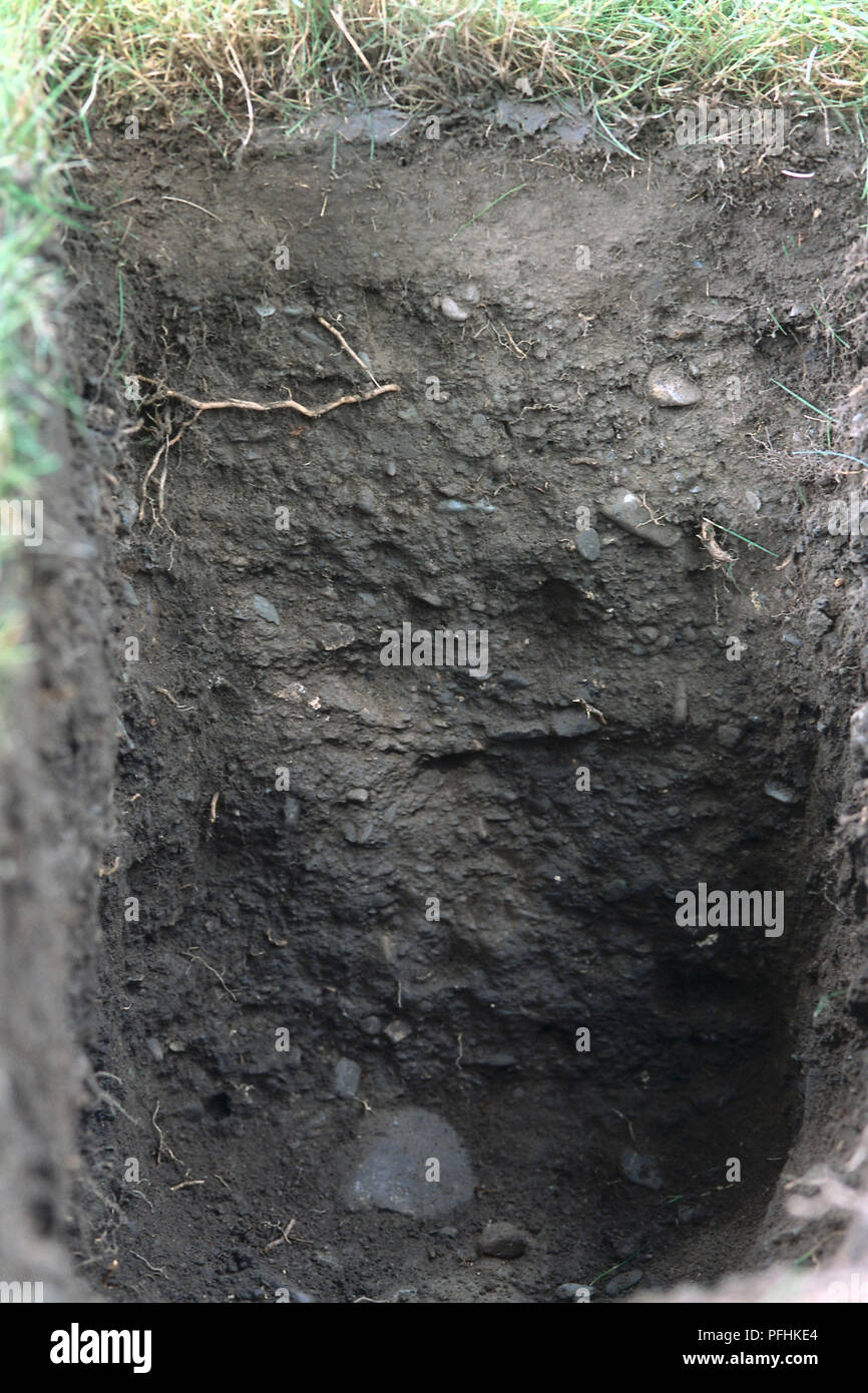Loam soil, cross-section view. Stock Photo