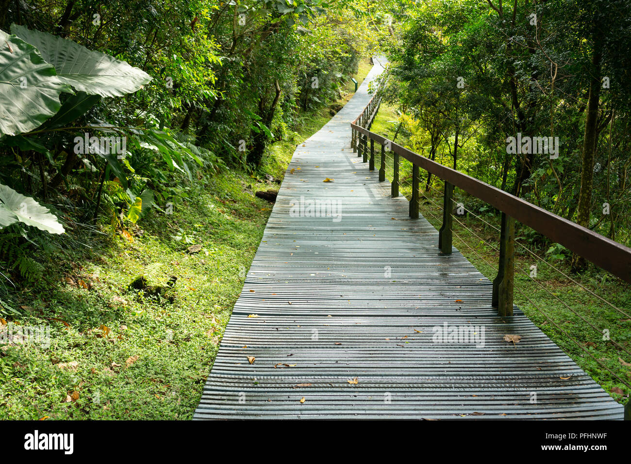 Pathway of terrace hiking trail in Taroko gorge national park in Hualien Taiwan Stock Photo