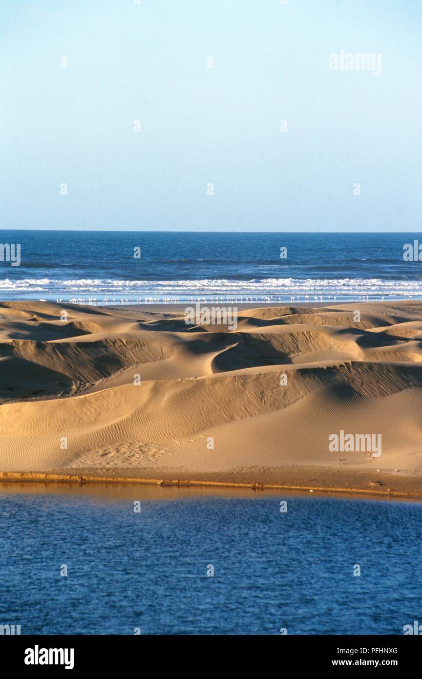 Morocco, sand dunes along coast between Tan Tan Plage and Tarfaya Stock Photo