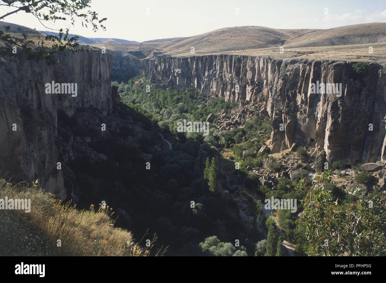 Anatolia Rivers Turkey, Central Anatolia, Ihlara Valley, tree-lined valley with ...