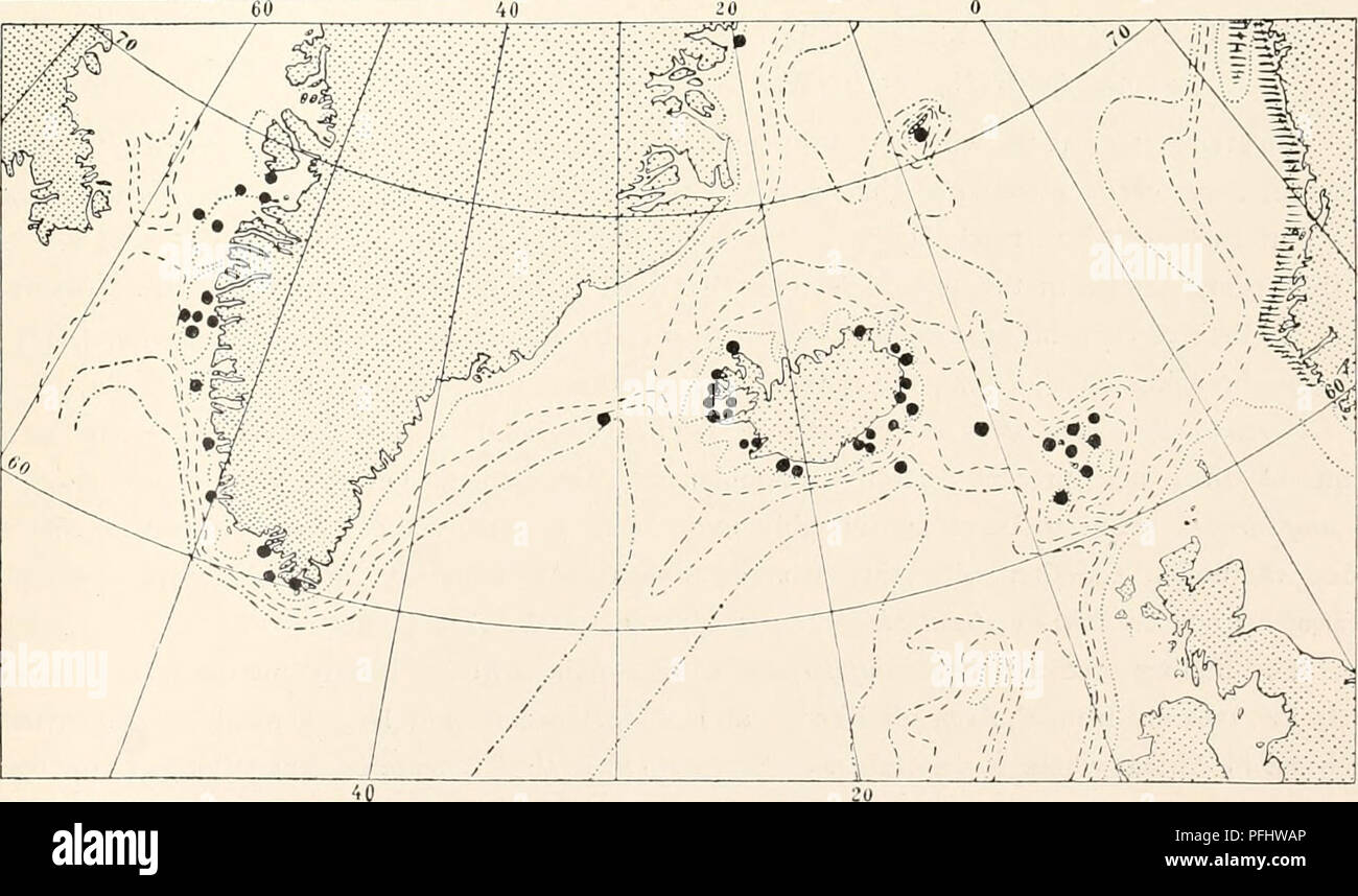 The Danish Ingolf Expedition Scientific Expeditions Arctic Ocean Hydroida Ii 99 Iceland Vestmano Depth 25 Fatlioms 10 Miles W Of Akranes Depth Not Stated Labelled Sertularella Polyzonias Bredebugt Depth 7 12 Fathoms 65 Oo