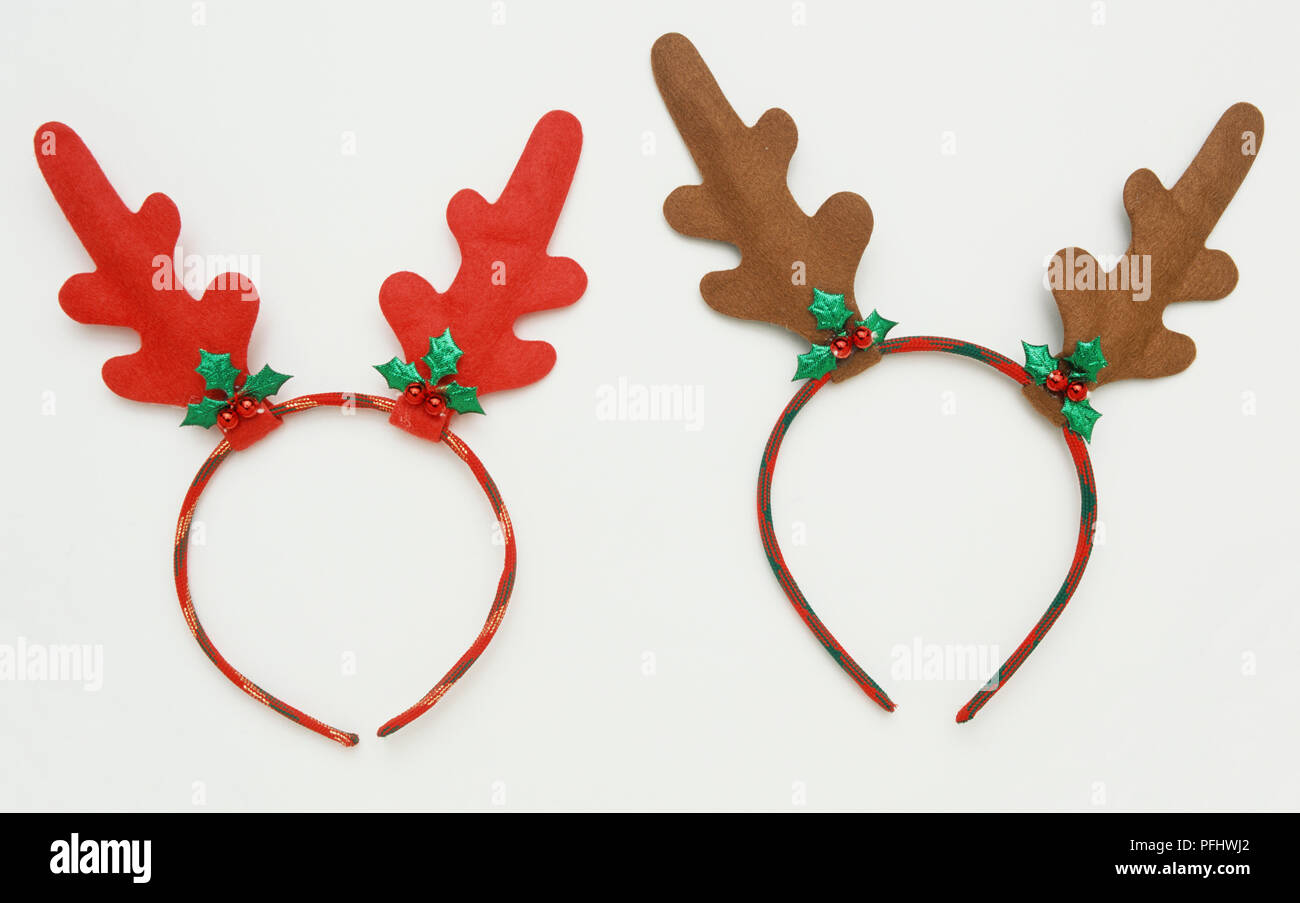 Moose antlers head bands, front view Stock Photo Alamy