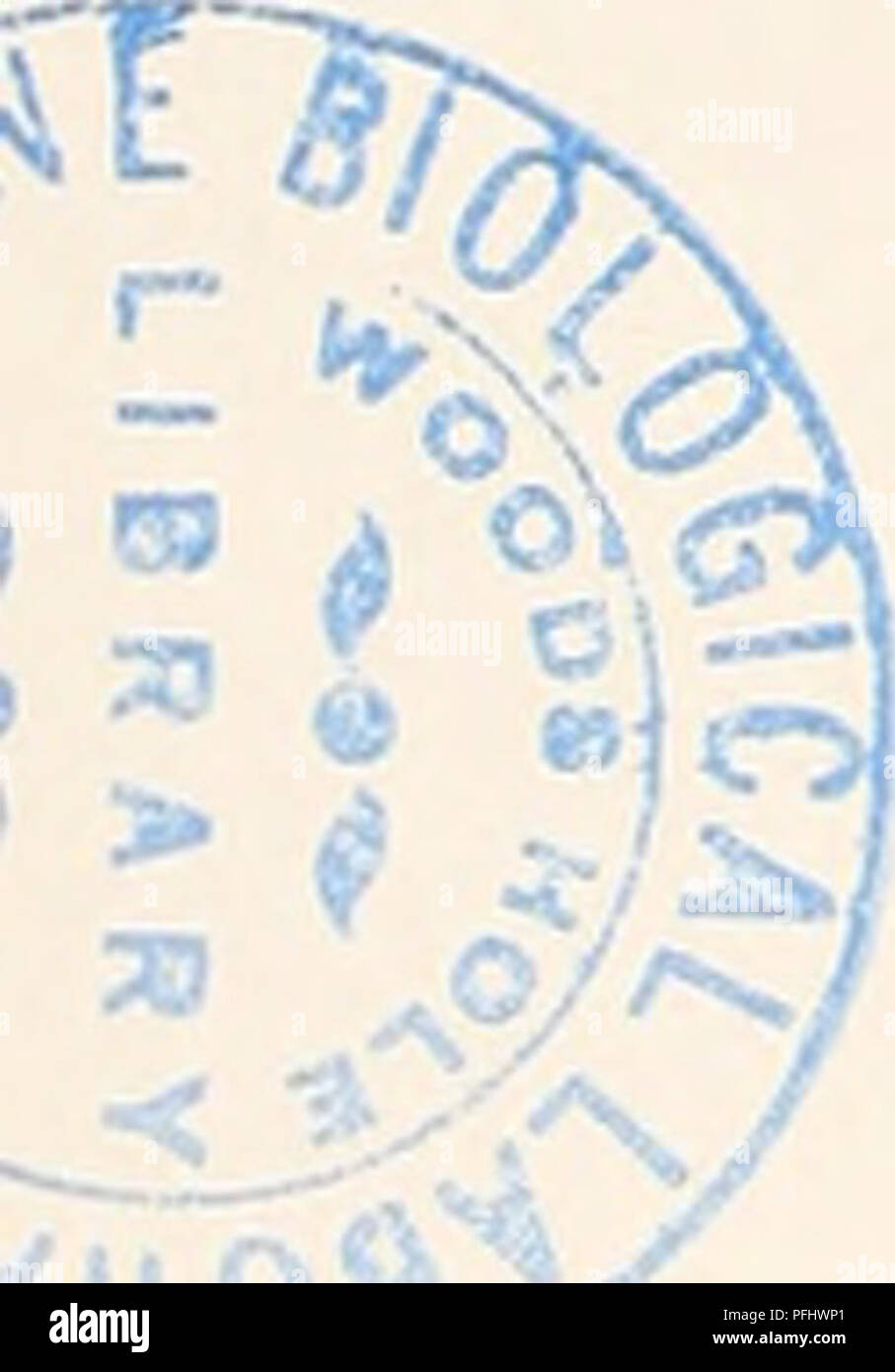 . The Danish Ingolf-Expedition. Scientific expeditions; Arctic Ocean. 52 HYDROIDA II. stalked and mobile, or small, rudimentary or entirely effaced, being represented merely by holes in the periderm, at times with slightly raised, asymmetrical edges. The margin of the hydrotheca is almost always without teeth. The colonies are monopodial with terminal growth point. The gastral endo- derm of the polyp is divided into a fore stomach and a digestive stomach part, the limit between them appearing as a constriction round the body of the polyp. As thus defined, the family covers the group Eleutherop Stock Photo