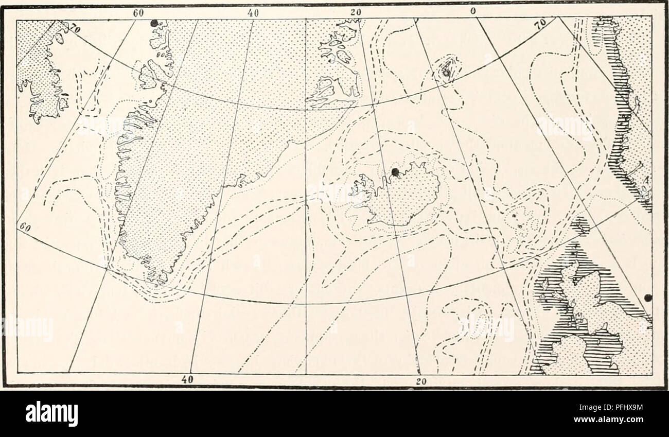. The Danish Ingolf-Expedition. Scientific expeditions; Arctic Ocean. HYDROIDA 47 The reptant stolons are covered by a continuous chitinous coenosarc, whose surface is studded with small prickles, among which occur larger chitinous spines about 1.5 mm. high, provided with lon- gitudinal rows of more or less regular small teeth. The large spines now and then show a tendency to divide at the apex. The polyps are up to 4 mm. long, whitish or faintly reddish, with 20—30 tentacles in a dense whorl below the oral portion. The tentacles form a belt which appears double because of alternating displace Stock Photo