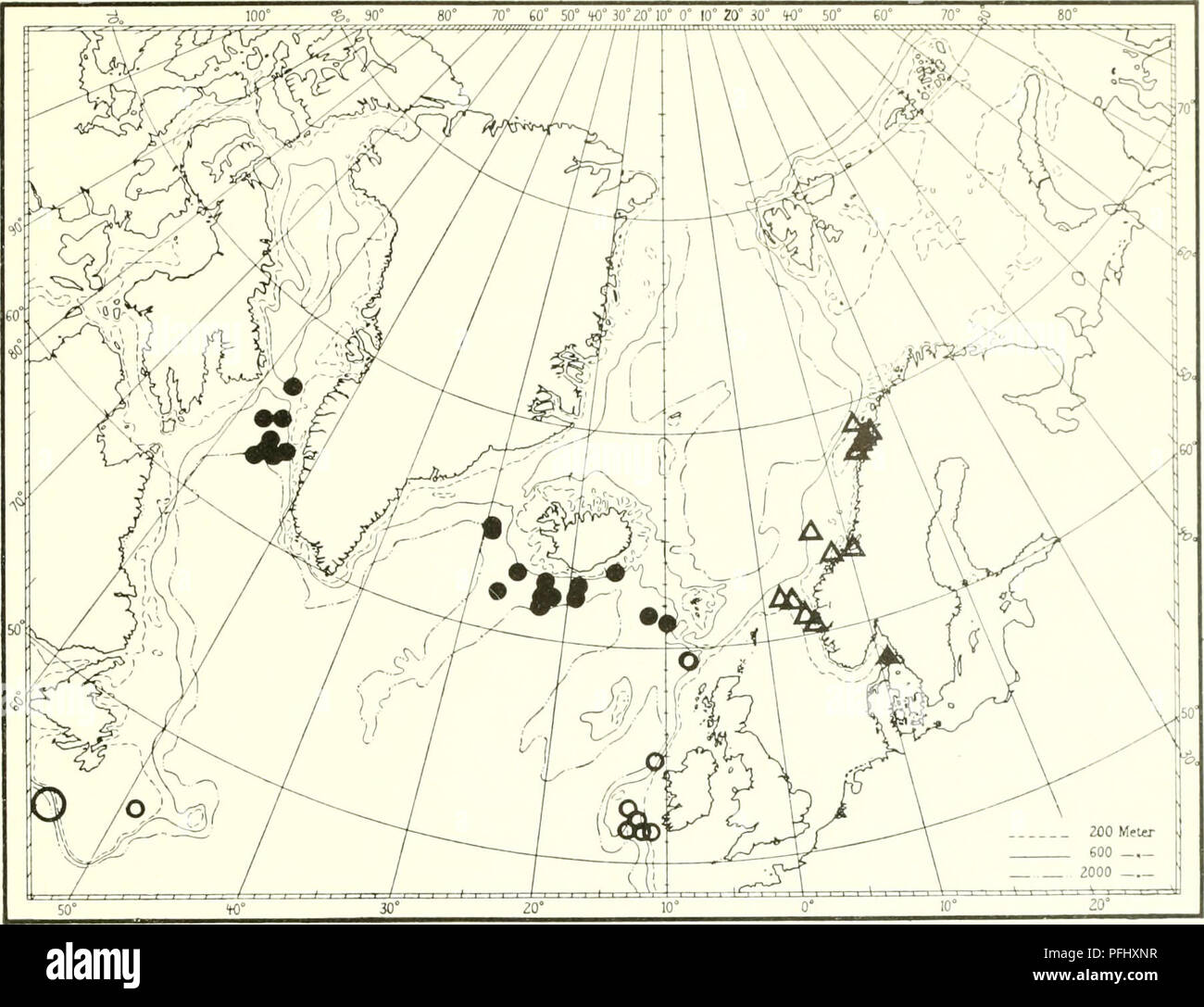 . The Danish Ingolf-expedition. Marine animals -- Arctic regions; Scientific expeditions; Arctic regions. Ot'TOC'ORALLIA. Fig. 53. â¢ Actnu'Ua (irhusciihi (.lolinsnn). A Isidi'lhi ]()jok&gt;ixU M. Sais. 02Â°4O' N. 22Â°17' W. 1109)11, 3 9('. &quot;Innolf St. (i9. erw N. 27'00' W. 913m, 6Â°1 C. â - Si. 62Â°58' N. 25Â°24' W. 1192 m, 4Â°8C. â - S4. 64Â°45' N. 29Â°0()' W. 1070 m, 4Â°4C. â - 90. 6r08' N. 9Â°4B' W. 847 m, -'Mirhapl Sars&quot; St. 79. 64Â°05' N. 55Â°20' W. 1100 m, '-Tialfi'&quot; St. 337. 64Â°40' N. 56Â°37' W. 750 m, â - 402. 63Â°54' N. 53Â°15' W. 98,S m, â - 428. 63Â°54' N. 53Â° 15'  Stock Photo