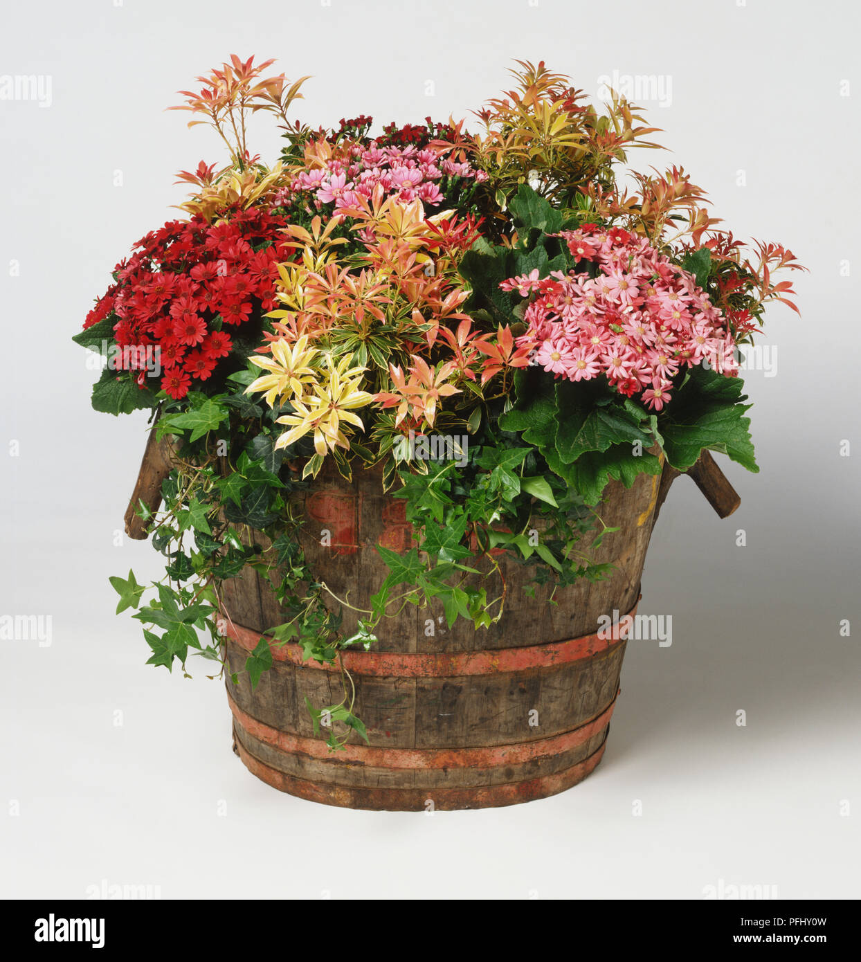 Assorted plants and flowers growing in wooden barrel, front view. Stock Photo