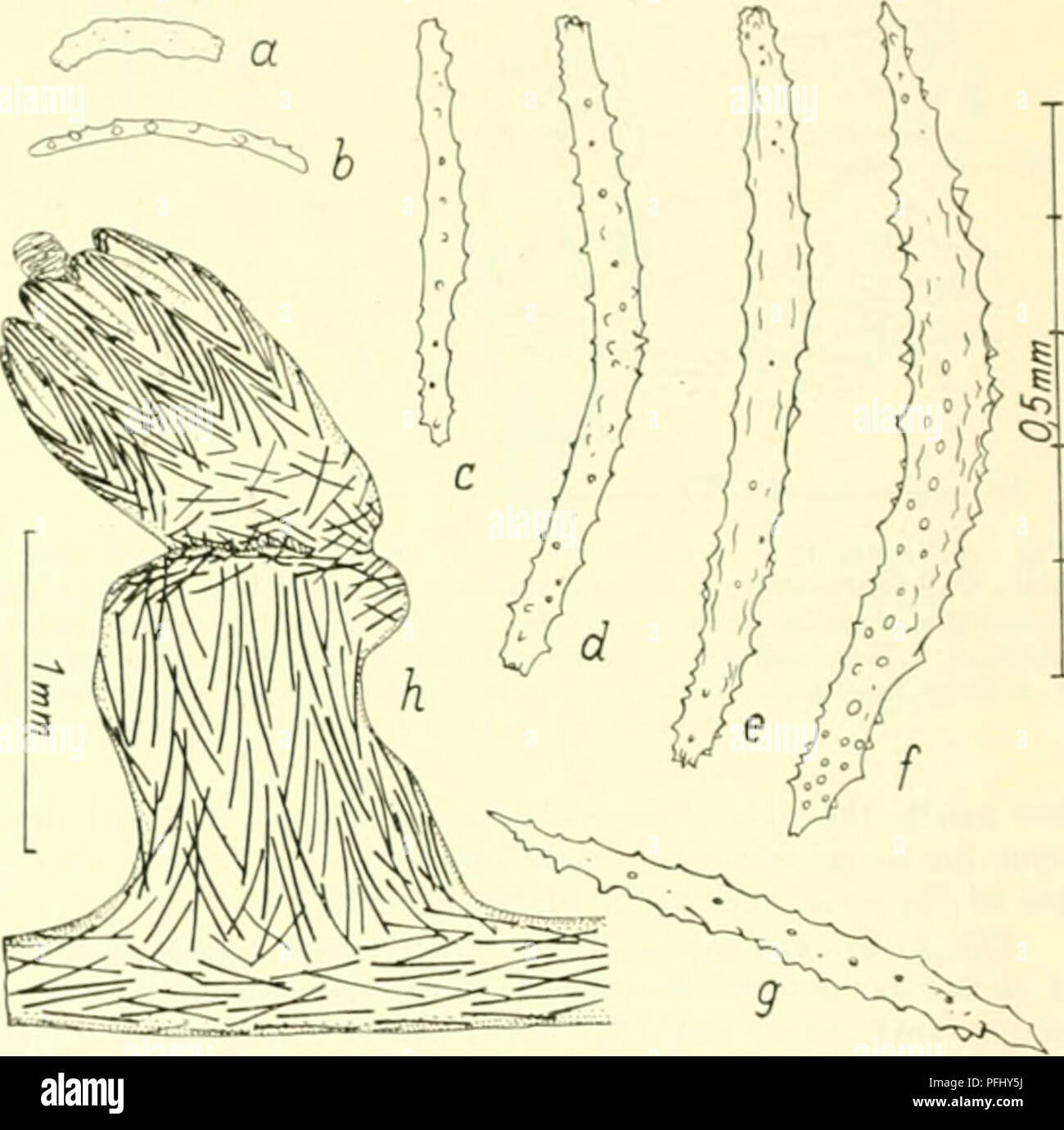 R E M Single High Resolution Stock Photography And Images Alamy