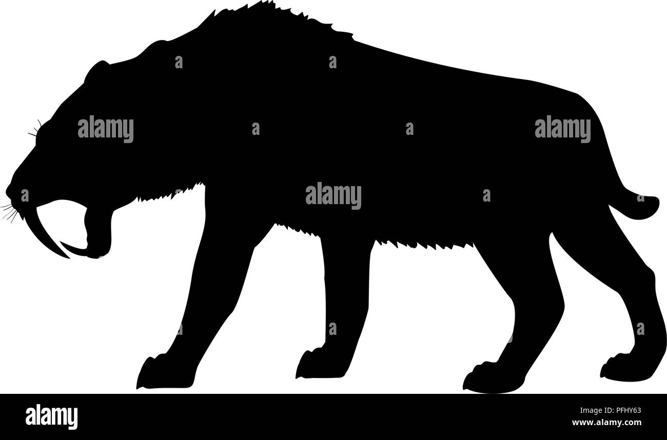 Saber toothed tiger silhouette extinct mammalian animal Stock Vector