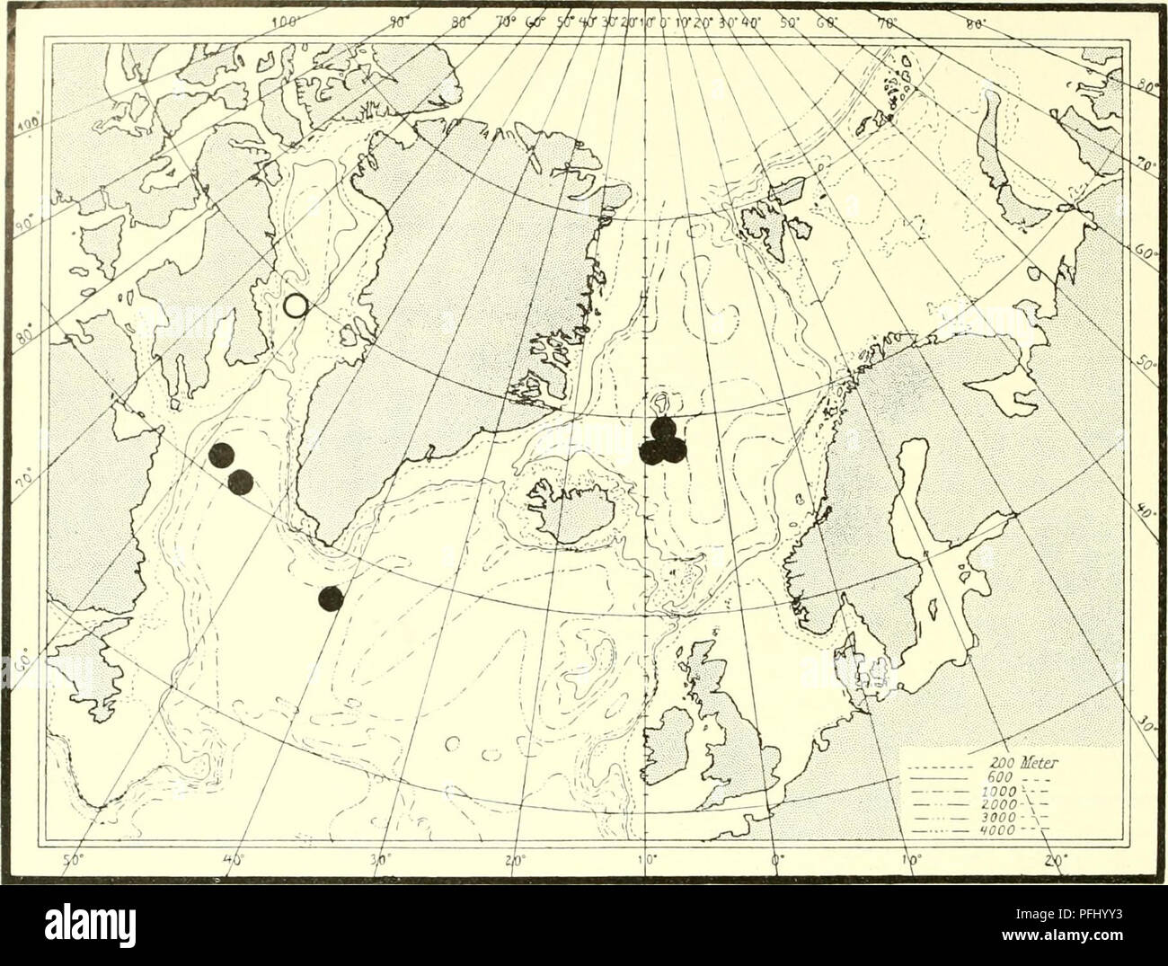 . The Danish Ingolf-expedition. Marine animals -- Arctic regions; Scientific expeditions; Arctic regions. 20 iini.u'i in'i;i(iii&gt;i-:.. Textfig. 18. Kohja hyalina Dan and Kor. % &quot;Ingoli&quot; Stations. Q &quot;Godthaab&quot; Station. Subfamily Peniagoninae Ekman. Genus Peniagone Theel. Peniagone azorica v. Marenzeller. v. Marenzeller 1893: Contribution a' Fetude des Holothuries de I'Atlantique Nord p. 12-13, PI. I, fig. t. PI. II, fig. 5. Grieg 1921: Echinodermata, &quot;Michael Sars&quot; p. 8, fig. 4. Deichmann 1930: Holothurians of the Atlantic Ocean p. 135-137. Localities: 64°34' N Stock Photo